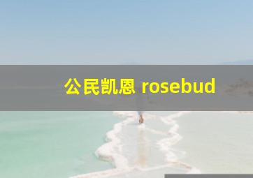 公民凯恩 rosebud